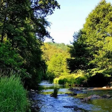 Week end en Hôtel Spa, département Cantal Week end en Hôtel Spa, département Cantal