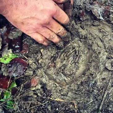 Stage de Survie en région Rhône-Alpes Stage de Survie en région Rhône-Alpes