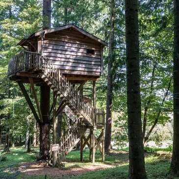 Cabane dans les arbres dans les Monts d'Ardèche Cabane dans les arbres dans les Monts d'Ardèche