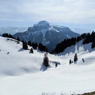 Stage de Survie en région Rhône-Alpes Stage de Survie en région Rhône-Alpes