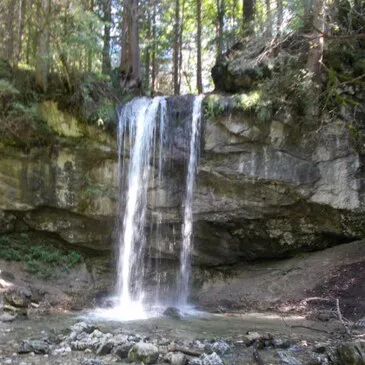 Stage de Survie proche Villard-de-Lans Stage de Survie proche Villard-de-Lans
