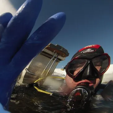 Réserver Baptême de plongée département Pyrénées orientales Réserver Baptême de plongée département Pyrénées orientales