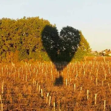 Sport Aérien en région Aquitaine Sport Aérien en région Aquitaine