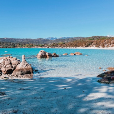 Réserver Weekend Insolite et Cabane dans les Arbres département Corse du Sud