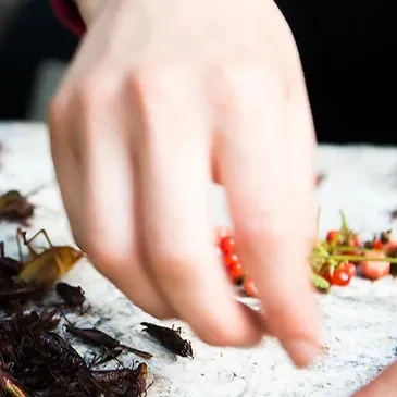 Week end en région Ile-de-France Week end en région Ile-de-France