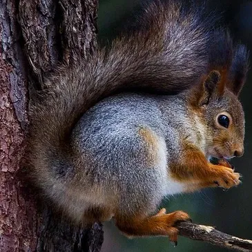 Réserver Stage de Survie département Yvelines Réserver Stage de Survie département Yvelines