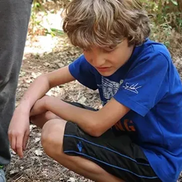 Offrir Stage de Survie département Val d'oise Offrir Stage de Survie département Val d'oise