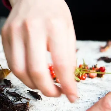 Val d'oise (95) Ile-de-France - Week end Val d'oise (95) Ile-de-France - Week end