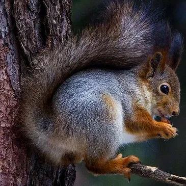 Réserver Stage de Survie département Val d'oise Réserver Stage de Survie département Val d'oise