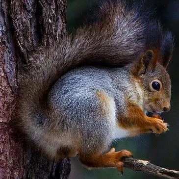 Offrir Stage de Survie département Paris Offrir Stage de Survie département Paris