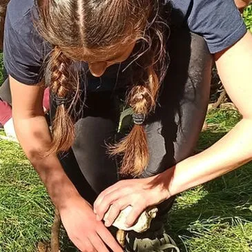 Magné, à 10 min de Niort, Deux sèvres (79) - Stage de Survie
