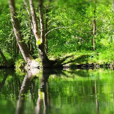Stage de Survie près de Niort dans le Marais Poitevin en région Poitou-Charentes