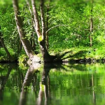 Week-end Stage de Survie près de La Rochelle  en région Poitou-Charentes