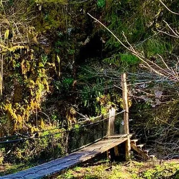 Offrir Stage de Survie département Landes Offrir Stage de Survie département Landes