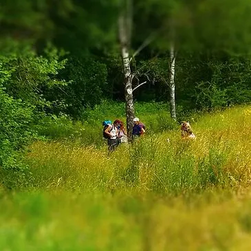 Stage de Survie en région Aquitaine Stage de Survie en région Aquitaine