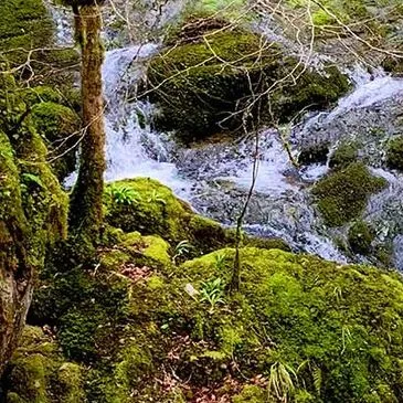 Réserver Stage de Survie département Landes Réserver Stage de Survie département Landes