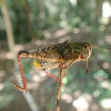Week-end Stage de Survie près d'Avignon en région PACA et Corse Week-end Stage de Survie près d'Avignon en région PACA et Corse