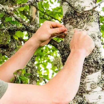 La Pesse, Jura (39) - Stage de Survie La Pesse, Jura (39) - Stage de Survie