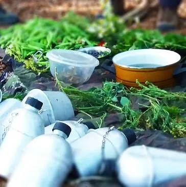 Stage de Survie proche La Pesse Stage de Survie proche La Pesse