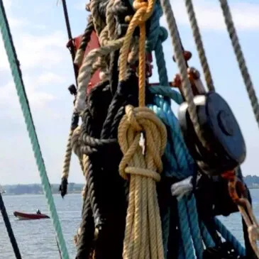 Arradon, Morbihan (56) - Balade en bateau Arradon, Morbihan (56) - Balade en bateau