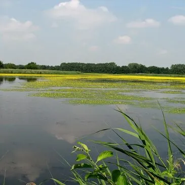 Aérodrome de Bourg-en-Bresse, Ain (01) - Baptême en ULM et Autogire Aérodrome de Bourg-en-Bresse, Ain (01) - Baptême en ULM et Autogire