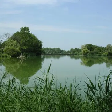Baptême en ULM et Autogire proche Aérodrome de Bourg-en-Bresse Baptême en ULM et Autogire proche Aérodrome de Bourg-en-Bresse