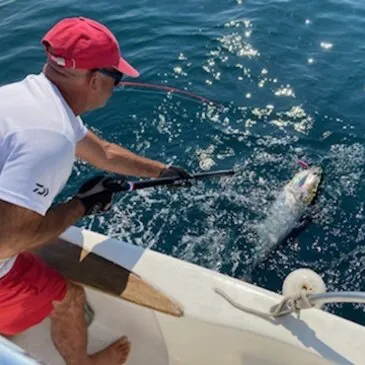 Pêche au gros en région PACA et Corse Pêche au gros en région PACA et Corse