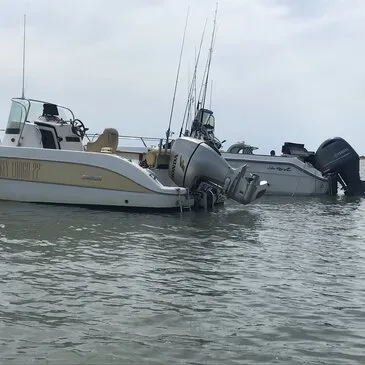 Pêche au gros proche Port-Saint-Louis-du-Rhône, à 1h de Marseille Pêche au gros proche Port-Saint-Louis-du-Rhône, à 1h de Marseille