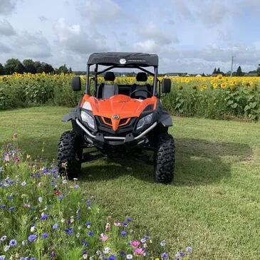 Randonnée en Buggy près de Saumur en région Pays-de-la-Loire