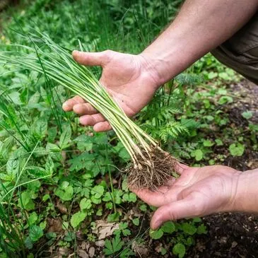 Stage de Survie en région Lorraine Stage de Survie en région Lorraine