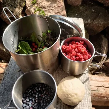 Stage de Survie proche Gérardmer Stage de Survie proche Gérardmer