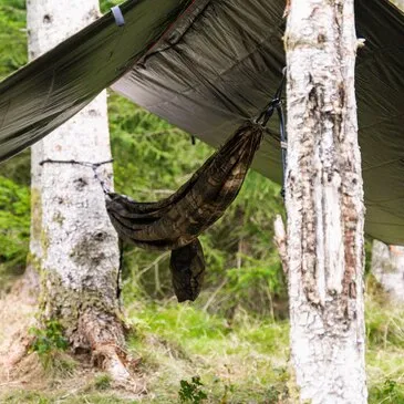 Week end Stage de Survie près du lac de Gérardmer en région Lorraine Week end Stage de Survie près du lac de Gérardmer en région Lorraine