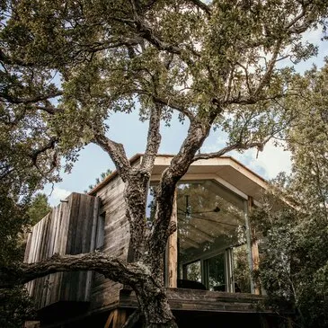 Cabane de Luxe dans les arbres à Porto-Vecchio Cabane de Luxe dans les arbres à Porto-Vecchio
