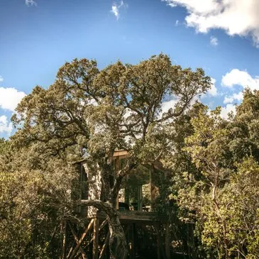 Week-end en amoureux en Cabane dans les Arbres à Porto-Vecchio Week-end en amoureux en Cabane dans les Arbres à Porto-Vecchio