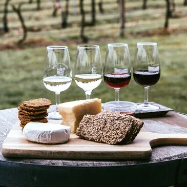 Atelier Accord Mets et Vins à Angers Atelier Accord Mets et Vins à Angers