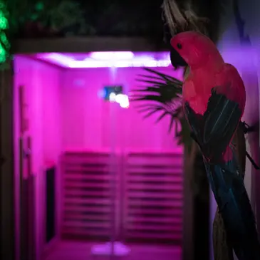 Réserver Spa, Massage et Soin du corps département Seine et marne Réserver Spa, Massage et Soin du corps département Seine et marne