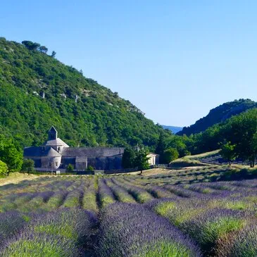 Week end en Hôtel Spa en région PACA et Corse Week end en Hôtel Spa en région PACA et Corse