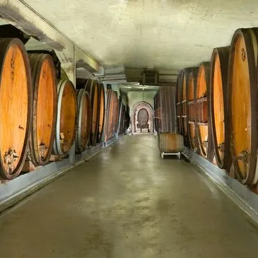 Week-End Œnologique à Obernai Week-End Œnologique à Obernai