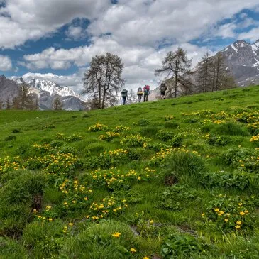 Barcelonnette, Alpes de Haute Provence (04) - Stage de Survie Barcelonnette, Alpes de Haute Provence (04) - Stage de Survie