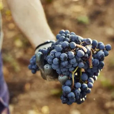 City Tour, département Gironde City Tour, département Gironde