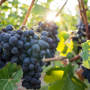 Urbain en région Aquitaine Urbain en région Aquitaine