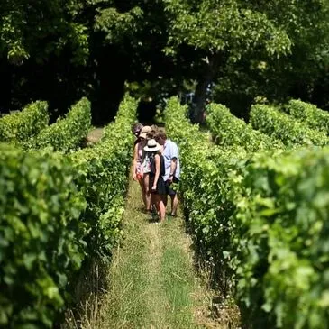 Réserver City Tour département Gironde Réserver City Tour département Gironde