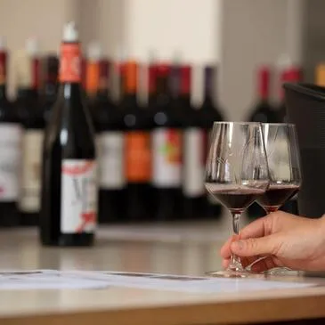 Activité Insolite en région Aquitaine Activité Insolite en région Aquitaine