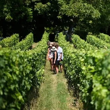 Activité Insolite proche Bordeaux Activité Insolite proche Bordeaux