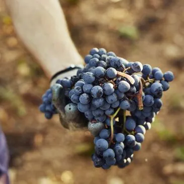 Urbain en région Aquitaine Urbain en région Aquitaine