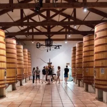 Châteauneuf-du-Pape, à 30 min d'Avignon, Vaucluse (84) - City Tour Châteauneuf-du-Pape, à 30 min d'Avignon, Vaucluse (84) - City Tour