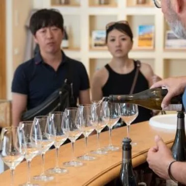 City Tour proche Châteauneuf-du-Pape, à 30 min d'Avignon City Tour proche Châteauneuf-du-Pape, à 30 min d'Avignon