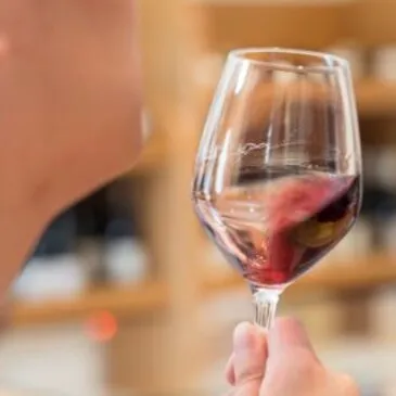 Balade Œnotouristique à Châteauneuf-du-Pape en région PACA et Corse Balade Œnotouristique à Châteauneuf-du-Pape en région PACA et Corse