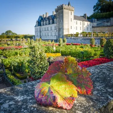 Balade Œnotouristique dans les Vignobles de Vouvray Balade Œnotouristique dans les Vignobles de Vouvray