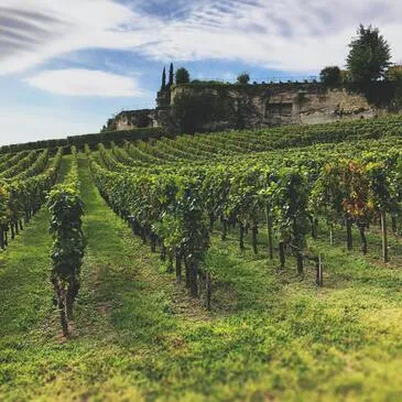 Activité Insolite, département Indre et loire Activité Insolite, département Indre et loire